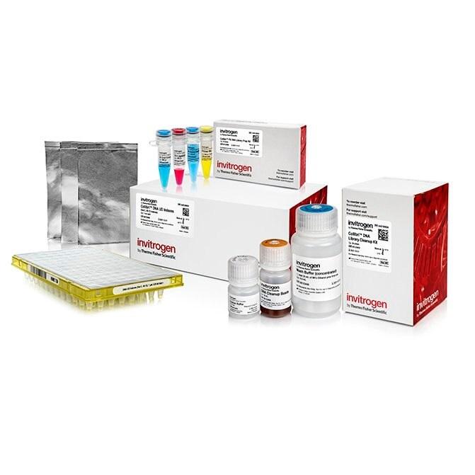 Invitrogen™ Collibri™ PS DNA Library Prep Kit for Illumina Systems, with UD indexes (Set C, 49-72)