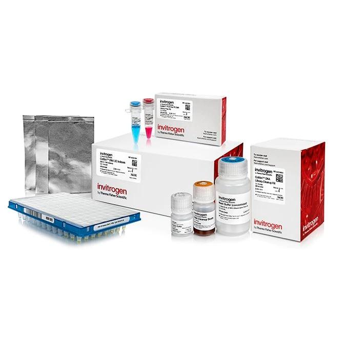 Invitrogen™ Collibri™ PCR-free PS DNA Library Prep Kit for Illumina Systems, with UD indexes (Set D, 73-96)
