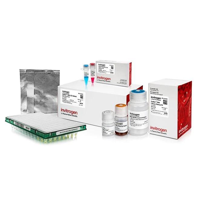 Invitrogen™ Collibri™ PCR-free PS DNA Library Prep Kit for Illumina Systems, with UD indexes (Set B, 25-48)