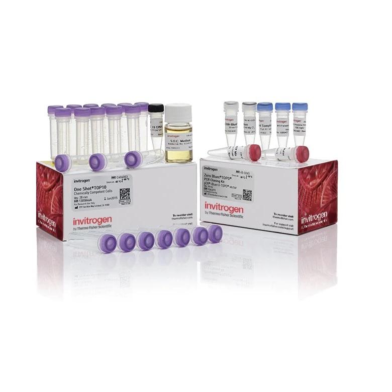 Invitrogen™ Zero Blunt™ TOPO™ PCR Cloning Kit, with One Shot™ TOP10 Chemically Competent E. coli cells, 25 Reactions