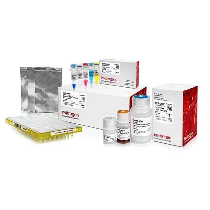 Invitrogen™ Collibri™ ES DNA Library Prep Kit for Illumina Systems, with UD indexes (Set C, 49-72)