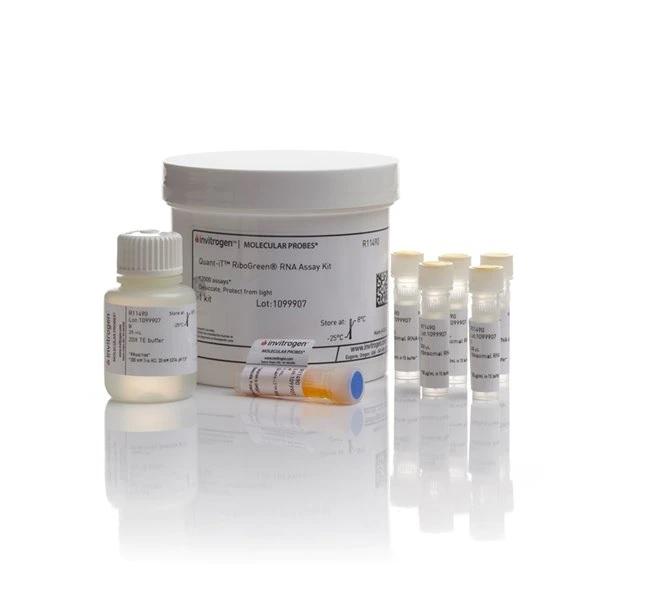 Invitrogen™ Quant-iT RiboGreen RNA Kit