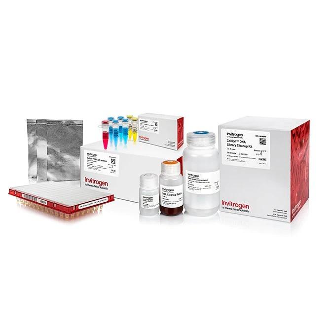 Invitrogen™ Collibri™ PS DNA Library Prep Kit for Illumina Systems, with UD indexes (Set A-D, 1-96)
