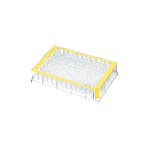 Eppendorf Deepwell Plate 96/500 µL, wells clear, 500 µL, PCR clean, yellow, 40 plates (5 bags × 8 plates)
