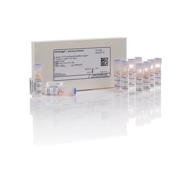 Invitrogen™ Quant-iT™ PicoGreen™ dsDNA Reagent, 10 x 100 µL