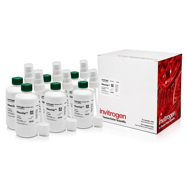 Invitrogen™ RNaseZap™ RNase Decontamination Solution, 6 x 250 mL