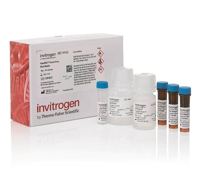 Invitrogen™ ViewRNA™ Tissue Assay Blue Module, 24 assays