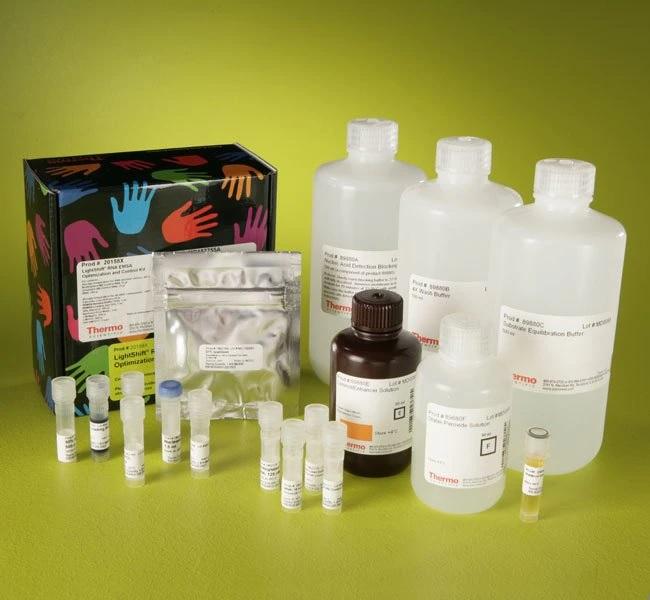 Thermo Scientific™ LightShift™ Chemiluminescent RNA EMSA Kit