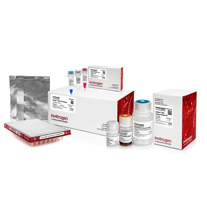 Invitrogen™ Collibri™ PCR-free ES DNA Library Prep Kit for Illumina Systems, with CD indexes, 24
