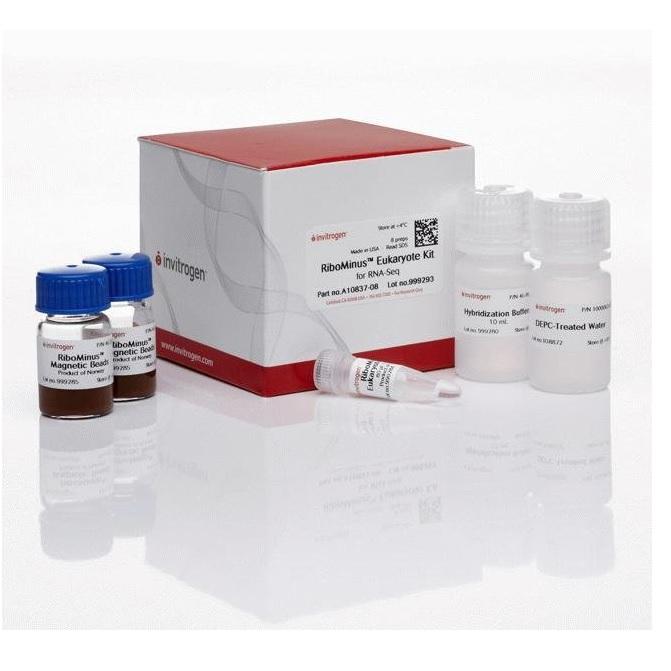 Invitrogen™ RiboMinus™ Eukaryote Kit for RNA-Seq