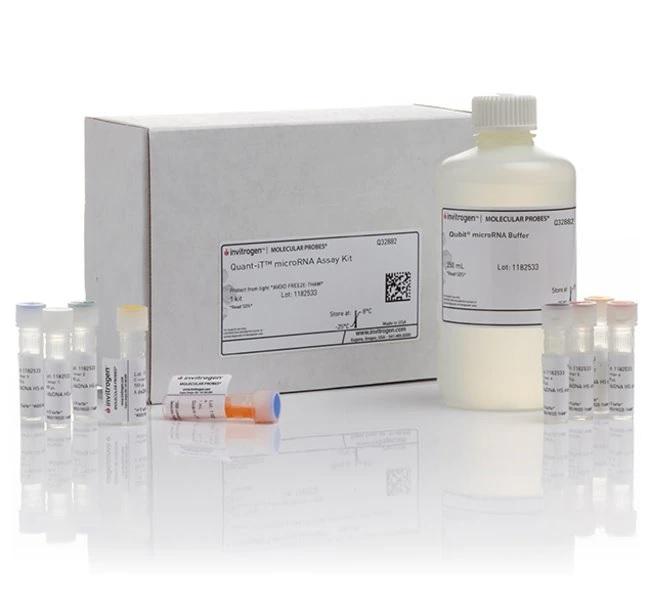 Invitrogen™ Quant-iT™ microRNA Assay Kit