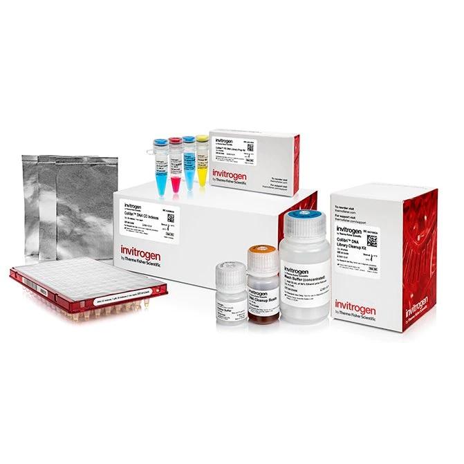 Invitrogen™ Collibri™ PS DNA Library Prep Kit for Illumina Systems, with CD indexes, 24