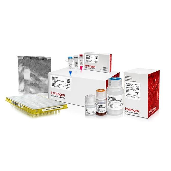 Invitrogen™ Collibri™ PCR-free ES DNA Library Prep Kit for Illumina Systems, with UD indexes (Set C, 49-72)