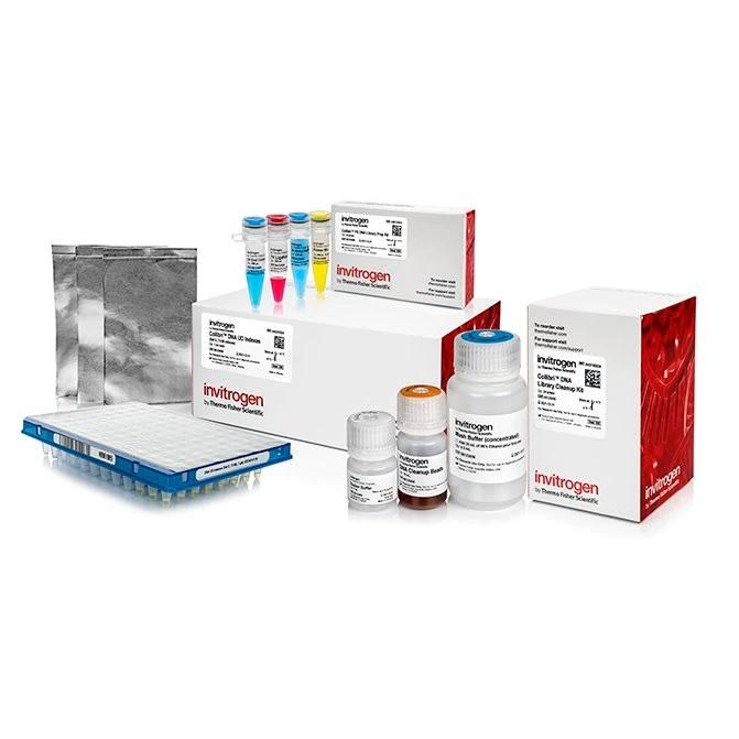 Invitrogen™ Collibri™ PS DNA Library Prep Kit for Illumina Systems, with UD indexes (Set D, 73-96)