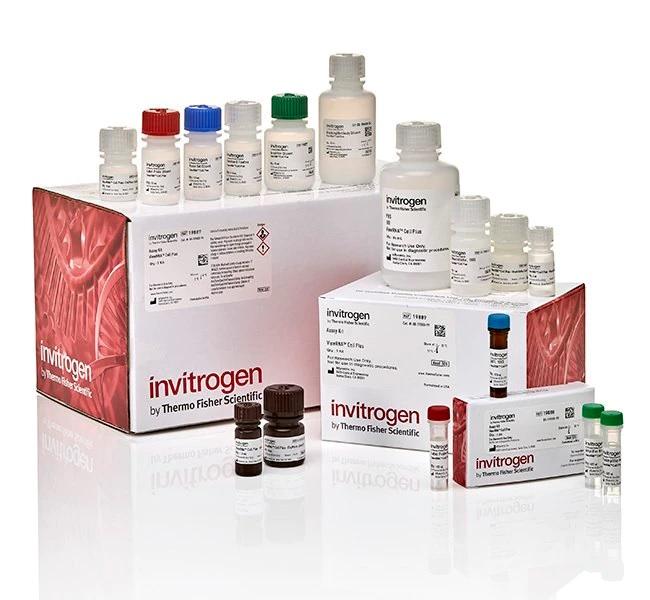 Invitrogen™ ViewRNA™ Cell Plus Assay Kit