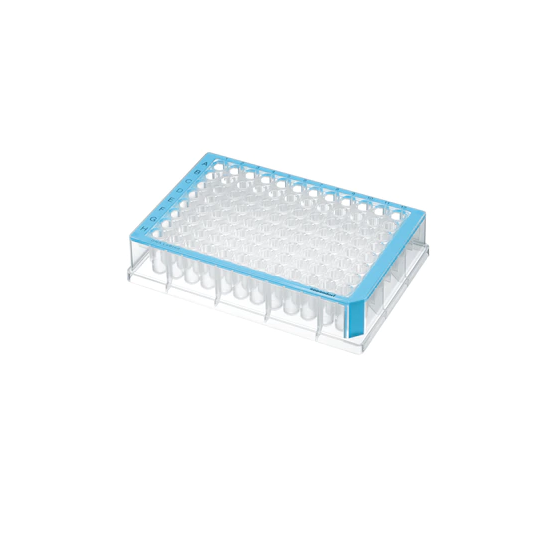 Eppendorf Deepwell Plate 96/500µL, DNA LoBind®, wells colorless, 500 µL, LoBind®, PCR clean, blue, 40 plates (5 bags × 8 plates)