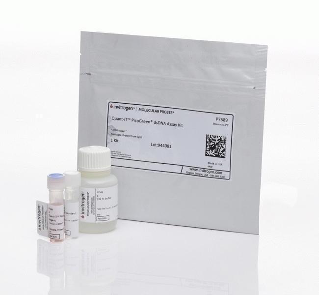 Invitrogen™ Quant-iT™ PicoGreen™ dsDNA Assay Kit, 1 mL kit