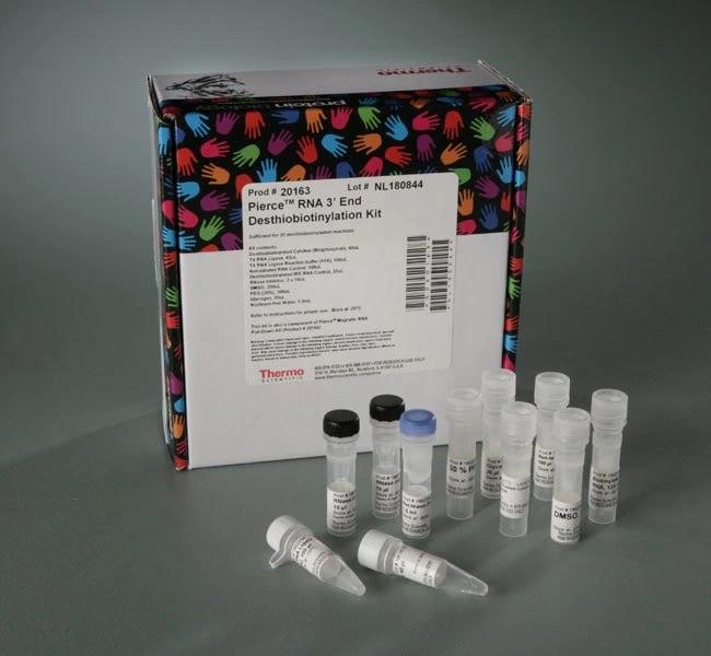 Thermo Scientific™ Pierce™ RNA 3' End Desthiobiotinylation Kit