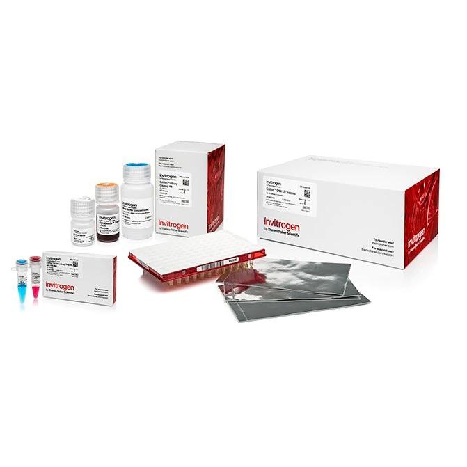 Invitrogen™ Collibri™ PCR-free PS DNA Library Prep Kit for Illumina Systems, with UD indexes (Set A, 1-24)
