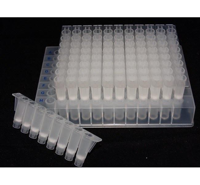 Applied Biosystems™ MicroSEQ™ ID Ultra Sequencing Clean-up 8-Strips Refill Kit