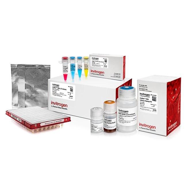 Invitrogen™ Collibri™ PS DNA Library Prep Kit for Illumina Systems, with UD indexes (Set A, 1-24)