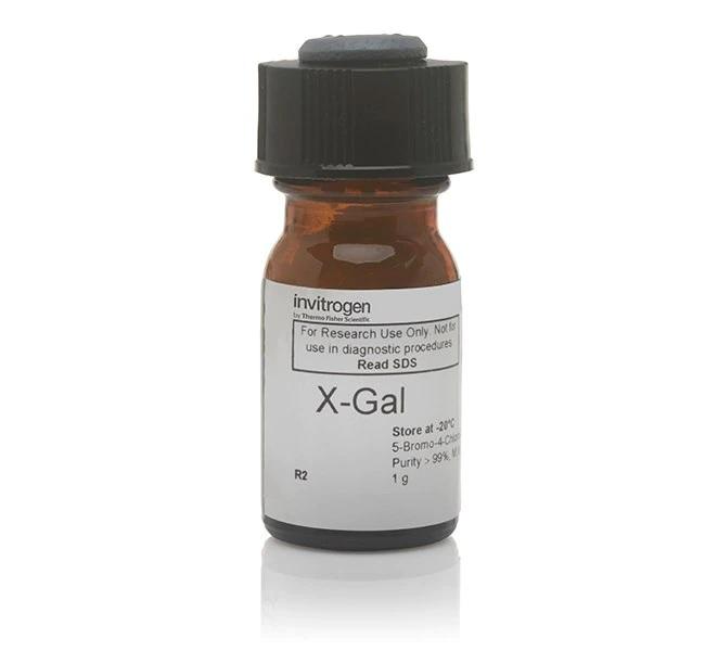 Invitrogen™ X-Gal, 1 g, Liquid