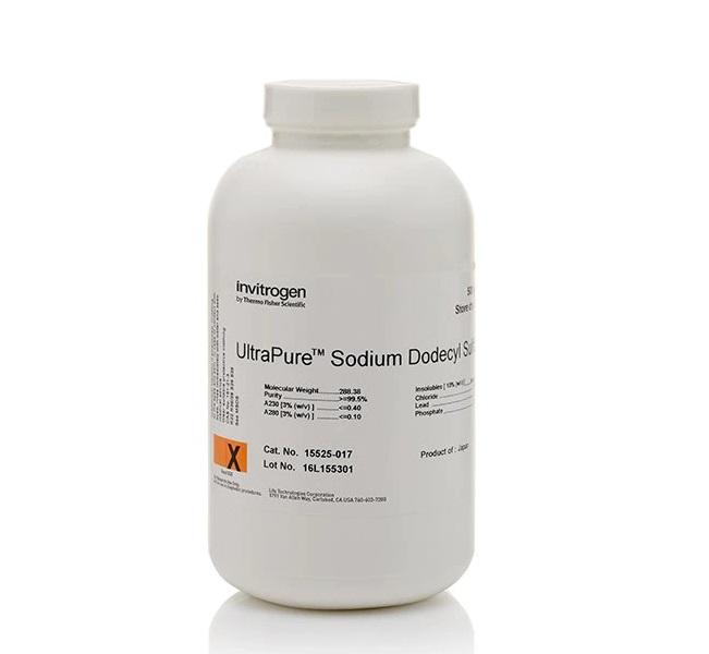 Invitrogen™ UltraPure™ Sodium Dodecyl Sulfate (SDS)