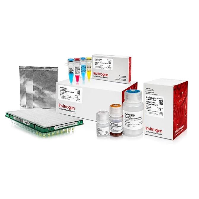Invitrogen™ Collibri™ PS DNA Library Prep Kit for Illumina Systems, with UD indexes (Set B, 25-48)